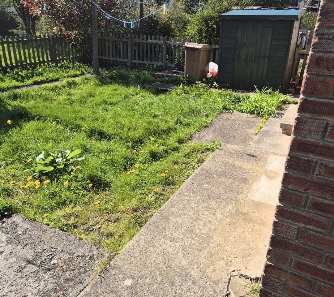 A rear garden before work: overgrown lawn and uneven ground